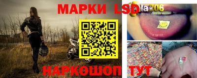 индика Бердск