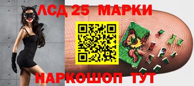 индика Бердск