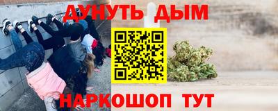 индика Бердск