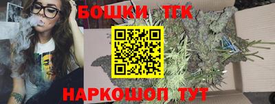 индика Бердск