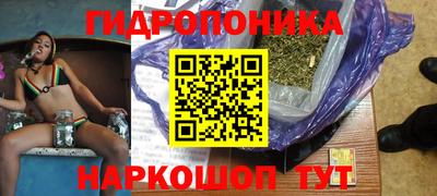 индика Бердск