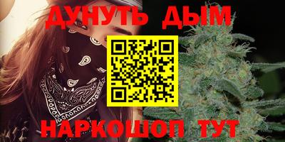 индика Бердск