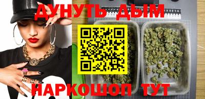 индика Бердск
